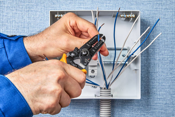 Professional Electrical Services in Douglas, AL